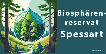 Biosphärenreservat Spessart